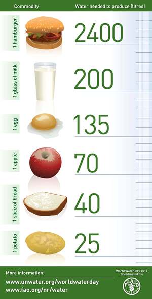 water for food water for food